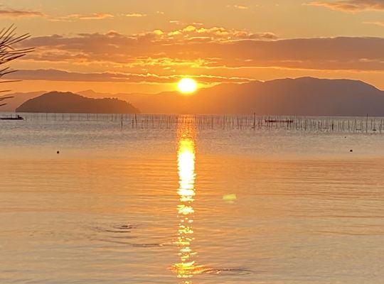 名古屋市の南区の整体、腰痛や骨盤矯正で人気の「ほほえみ整体院」からのお知らせ
