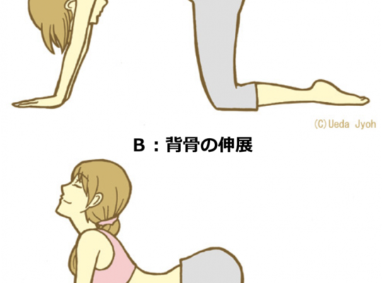 名古屋市の南区の整体、腰痛や骨盤矯正で人気の「ほほえみ整体院」の健康情報！『肩こりにならないために8』