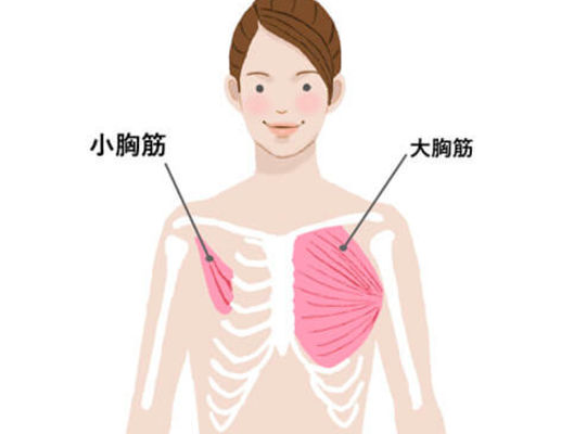 名古屋市の南区の整体、腰痛や骨盤矯正で人気の「ほほえみ整体院」の健康情報！『肩こりにならないために11』