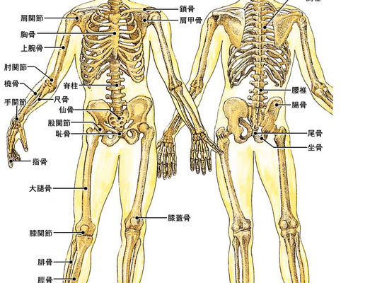 名古屋市の南区の整体、腰痛や骨盤矯正で人気の「ほほえみ整体院」の健康情報！