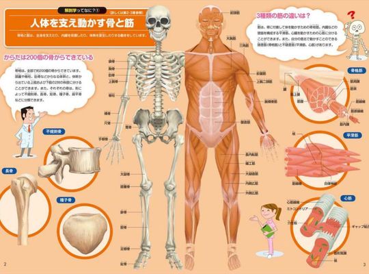 名古屋市の南区の整体、腰痛や骨盤矯正で人気の「ほほえみ整体院」の健康情報！