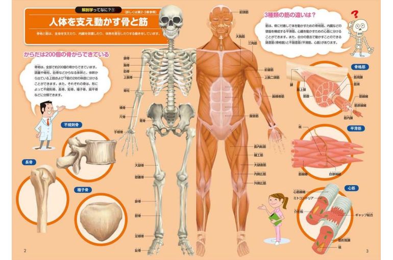 名古屋市の南区の整体、腰痛や骨盤矯正で人気の「ほほえみ整体院」の健康情報！