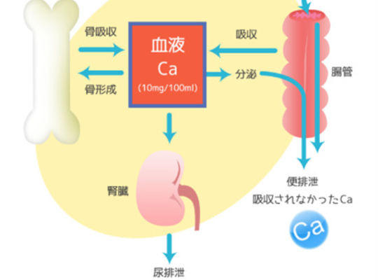 名古屋市の南区の整体、腰痛や骨盤矯正で人気の「ほほえみ整体院」の健康情報！